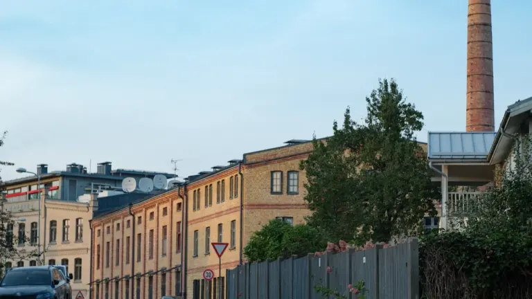 Čaka ielas remonts 19. augustā: kā apbraukt darbu posmu