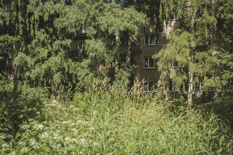 Rīgā no septembra maina NĪN atvieglojumu pieteikšanu