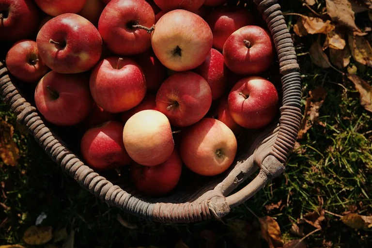 Miķeļdiena 29. septembrī: rudens robežšķirtne divās tradīcijās