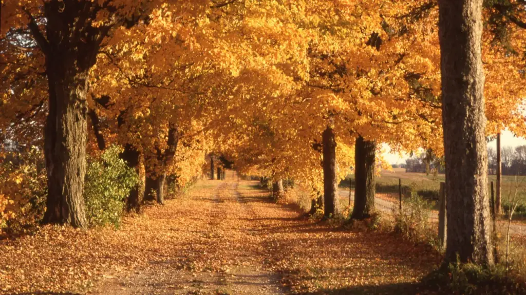 Rudens ekvinokcija: pārbaudes tumšajai sezonai