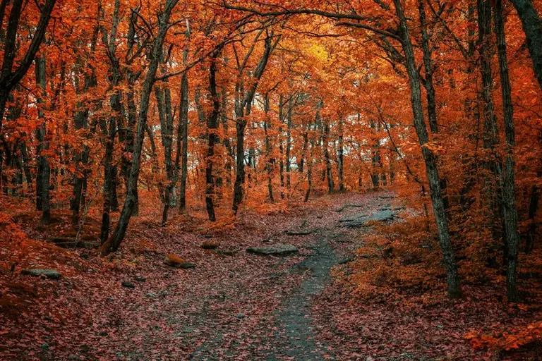 Rudens ekvinokcija: pārbaudes tumšajai sezonai