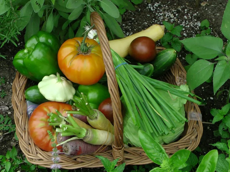 Pilns ražas grozs sapnī: darbs, pietiekamība un nogurums